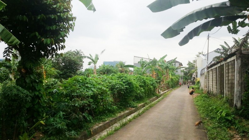 Kavling Luas di Kawasan Pondok Jaya