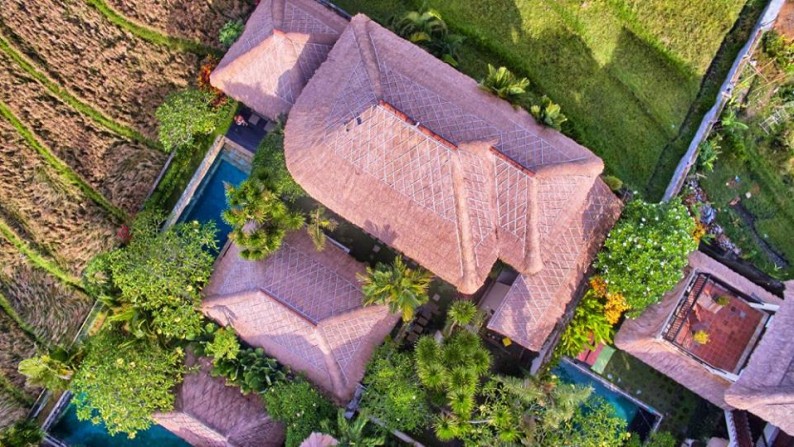 View Sawah Cantik, 1 menit ke Pantai Pererenan