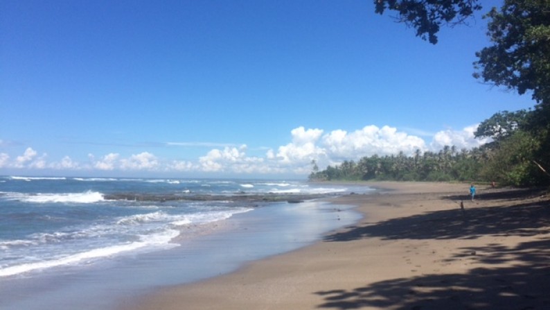 Amazing 37,915 Sqm Beachfront Freehold Land In Jembrana Negara