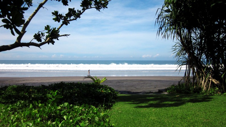 Amazing 37,915 Sqm Beachfront Freehold Land In Jembrana Negara