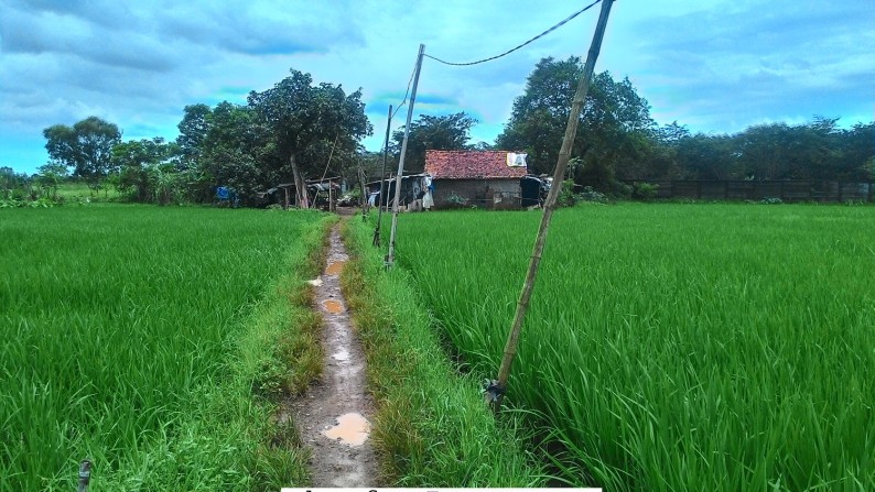 Dijual Tanah / Kavling di Cijengkol, Setu, Bekasi Timur