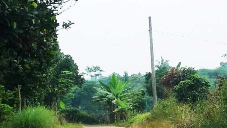 Dijual Kavling / Tanah Darat di Setu, Bekasi cocok untuk perumahan