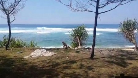 TANAH DENGAN VIEW PANTAI WATUKARUNG PACITAN, COCOK UNTUK VILLA