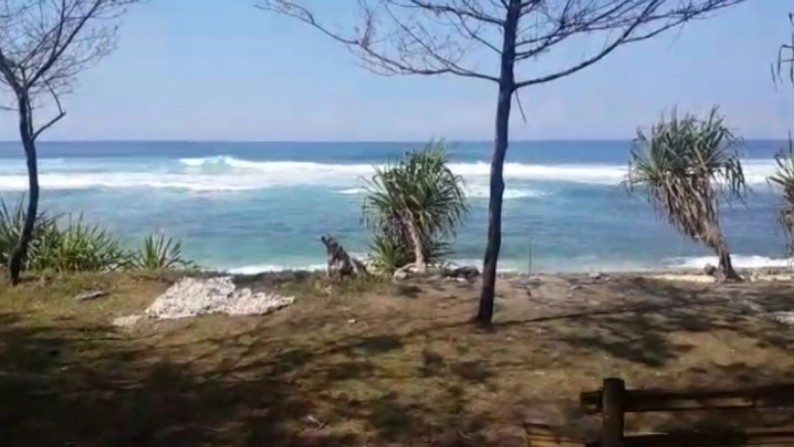 TANAH DENGAN VIEW PANTAI WATUKARUNG PACITAN, COCOK UNTUK VILLA