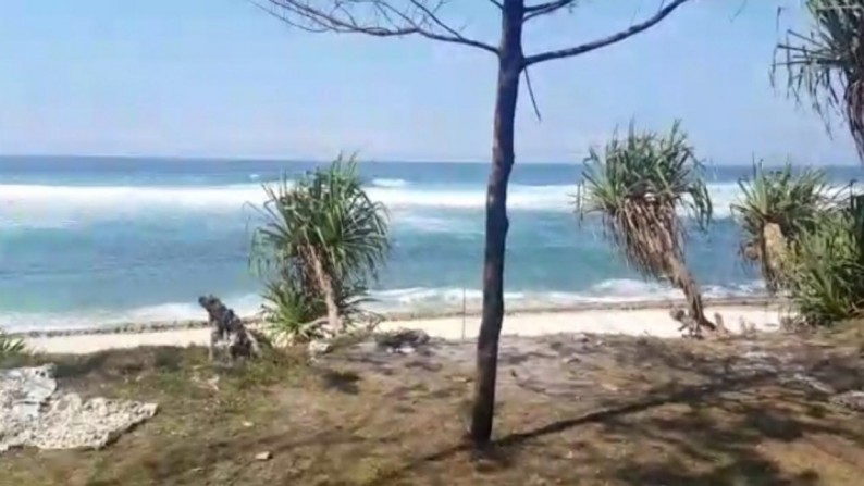 TANAH DENGAN VIEW PANTAI WATUKARUNG PACITAN, COCOK UNTUK VILLA