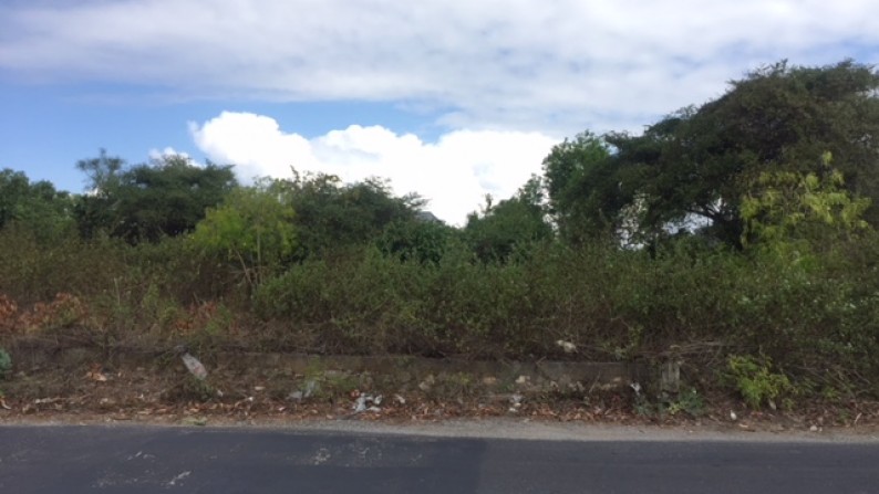 Land for Investment in Ungasan