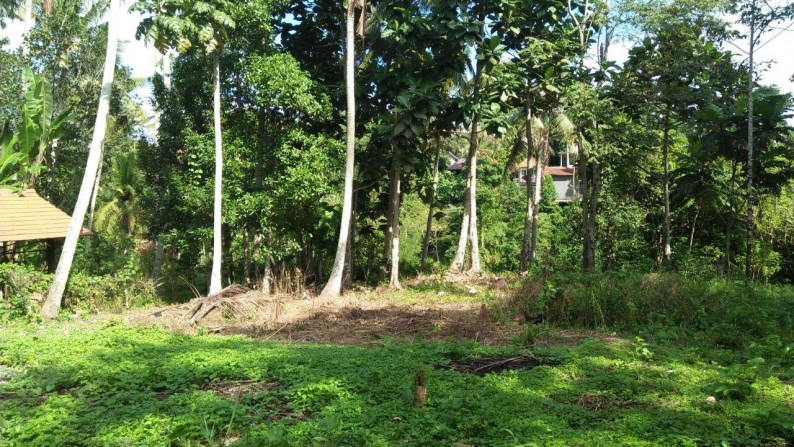 1500 Sq m of Freehold Land with Amazing River View Located just 20 minutes from Ubud Center