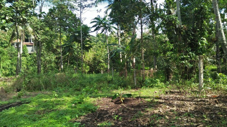 1500 Sq m of Freehold Land with Amazing River View Located just 20 minutes from Ubud Center