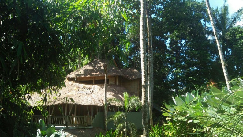A Beautiful 4 Bedrooms Villa with Forest view on 1500 sq m of Leasehold Land For Sale 8 minutes from Ubud Center