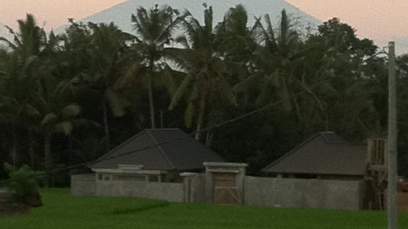 400 Sq M of Freehold Land with Beautiful Rice Field View For Sale Just 10 Minutes from Ubud Center (Jl. Raya Ubud)