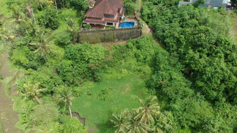 440 sq m of Freehold Land for Sale 20 Minutes from Ubud Center (Jl. Raya Ubud)