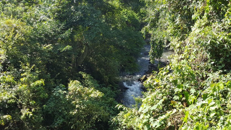 1236 Sq m of Freehold Land with Valley View For Sale 15 Minutes From Ubud Center