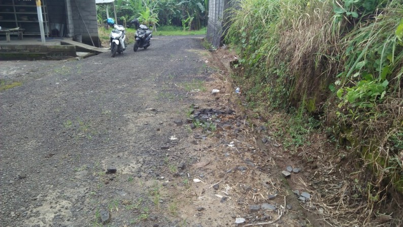 200 Sq m of Freehold Land For Sale Just 20 Minutes From Ubud Center