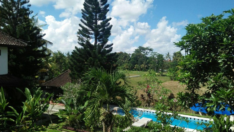 4 Bedrooms Villa with Beautiful Rice Field View on 700 sq m of Freehold Land for sale 10 Minutes from Ubud Center