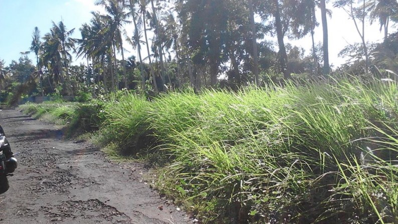 200 sq m of Freehold Land for Sale 20 min from Ubud Center