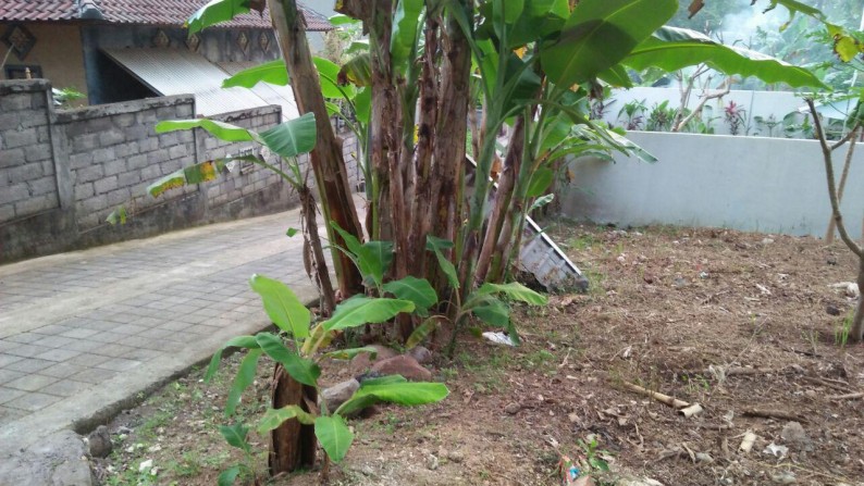 172 Sq m of Freehold land located jus 20 minute from Ubud Center for Sale