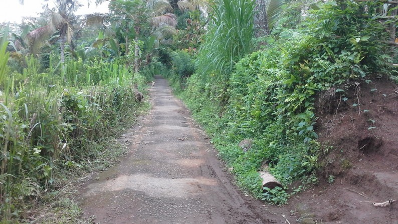 3800 sq.m of Freehold Land For Sale 20 Minutes from the Centre of Ubud
