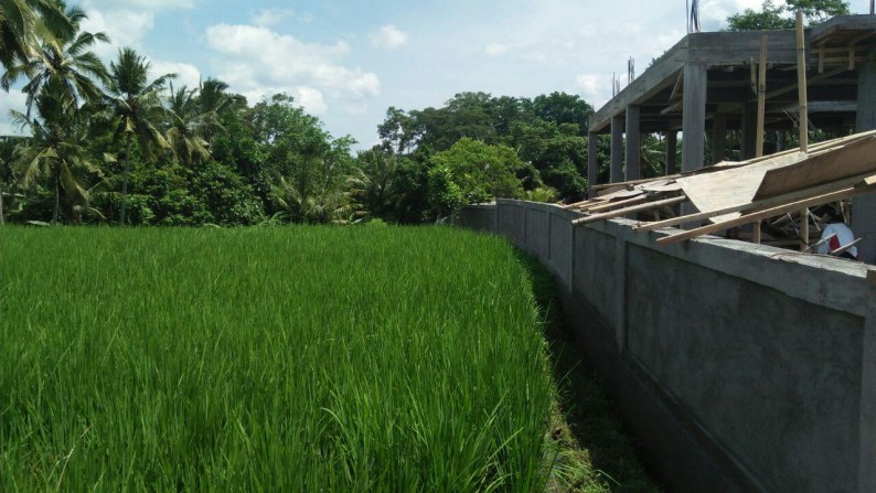 3500 Sq m of Freehold Land with River View for Sale just 10 minutes from Ubud Center