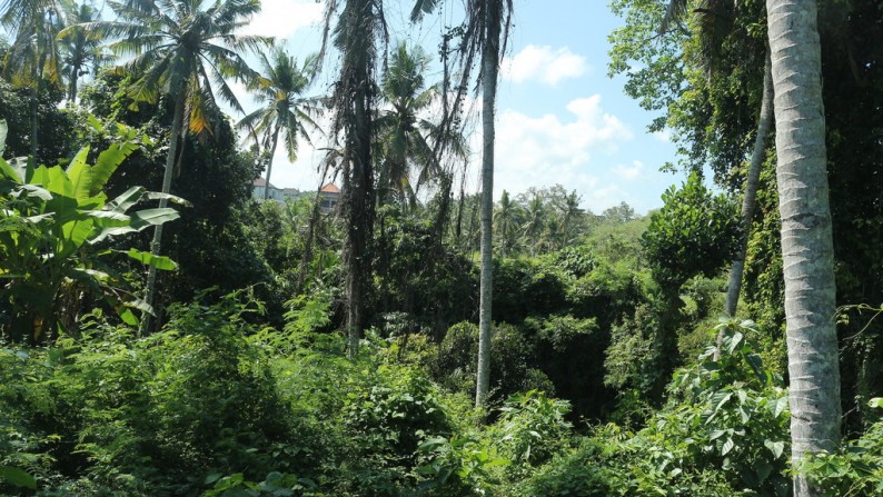 700 Sq m of Freehold Land For Sale Located at a Strategic Location just 5 Minutes from Gianyar Center (Jl, Kota Gianyar).
