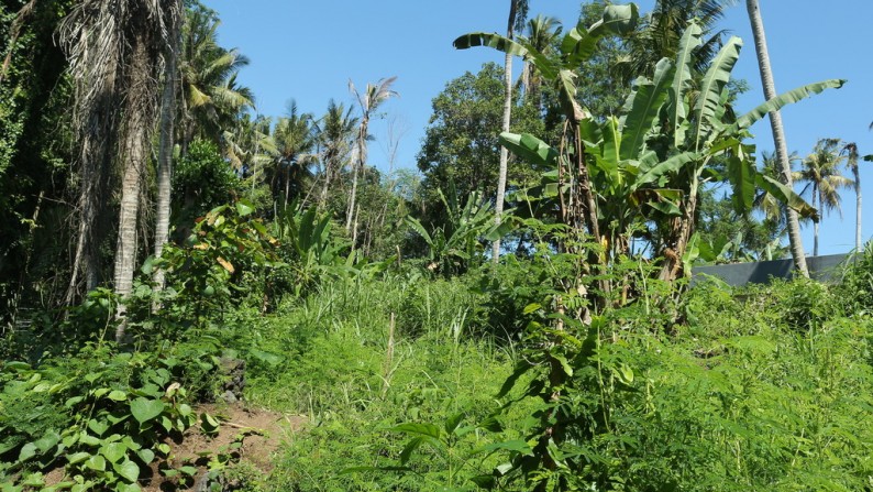 700 Sq m of Freehold Land For Sale Located at a Strategic Location just 5 Minutes from Gianyar Center (Jl, Kota Gianyar).