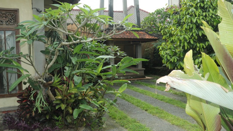 1 Bedroom Villa for Rent With Beautiful Rice field View Located Just 5 Minute From Ubud Center