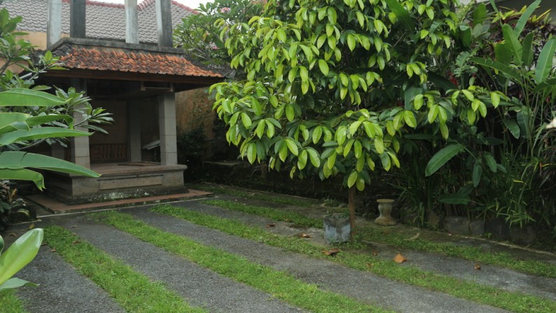 1 Bedroom Villa for Rent With Beautiful Rice field View Located Just 5 Minute From Ubud Center