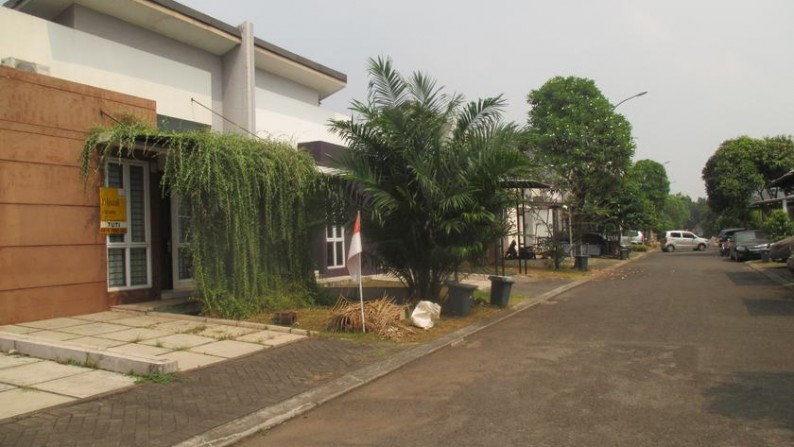 Dijual rumah 1 lt, jarang ada, area hidup, good invest, cocok juga untuk hunian, murah, strategis, siap huni.