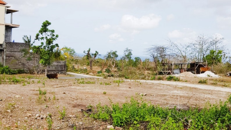 Kavling Strategis di Kawasan Badung, Bali