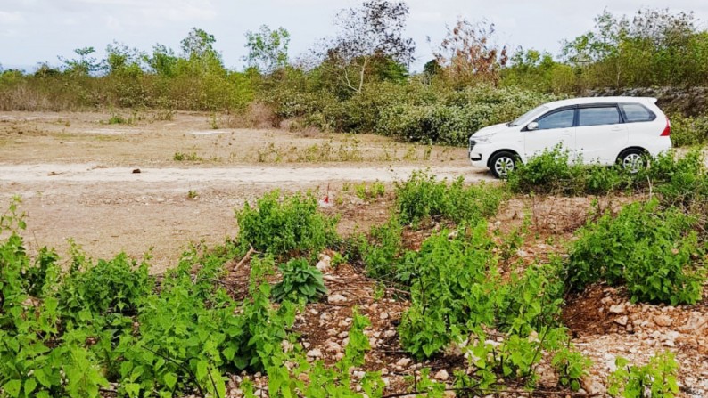 Kavling Strategis di Kawasan Badung, Bali