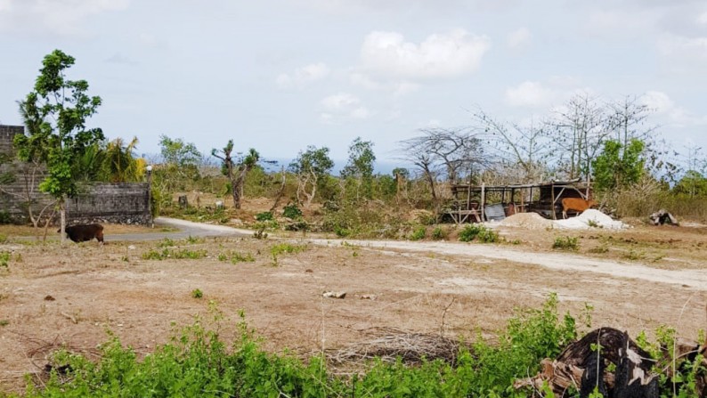 Kavling Strategis di Kawasan Badung, Bali