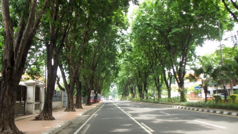 Rumah Dijual Raya Darmo Pusat Kota Surabaya Lokasi Strategis Dekat Hotel Dan Bank Besar