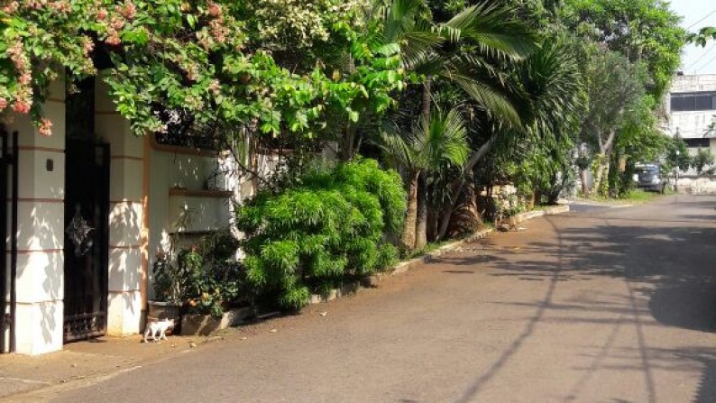 Rumah Asri di dekat Veteran Jaksel