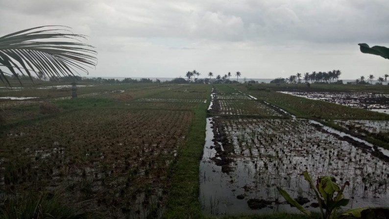 Beachfront 2,36 ha at Pasut Beach,15 mins to Tanah Lot