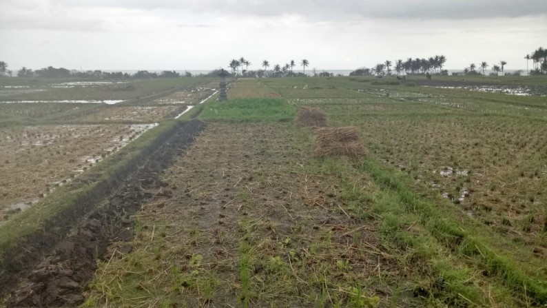 Beachfront 2,36 ha at Pasut Beach,15 mins to Tanah Lot