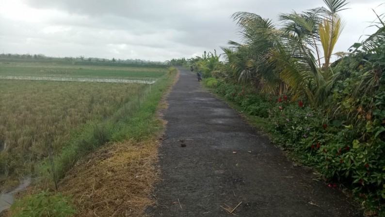 Beachfront 2,36 ha at Pasut Beach,15 mins to Tanah Lot