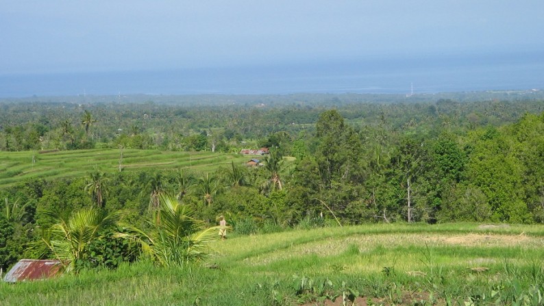 Tanah View Laut dan Sawah Cantik di Sukasada, Ambengan