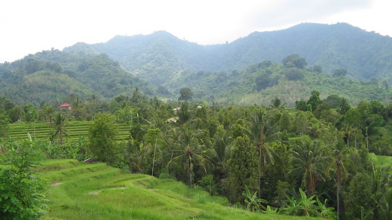 Tanah View Laut dan Sawah Cantik di Sukasada, Ambengan