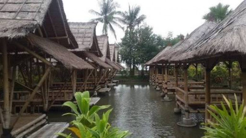 Resto + Villa daerah Singaraj cocok untuk investasi