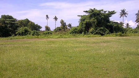 Tanah cocok untuk villa dekat pantai