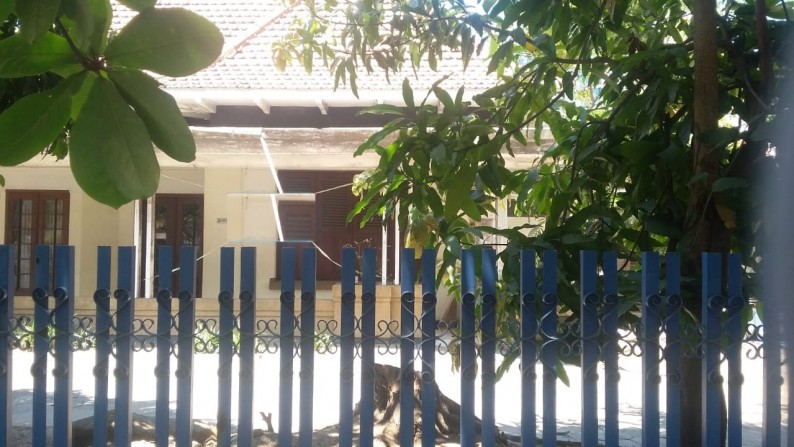 sewa rumah pusat kota , selangkah dari raya darmo