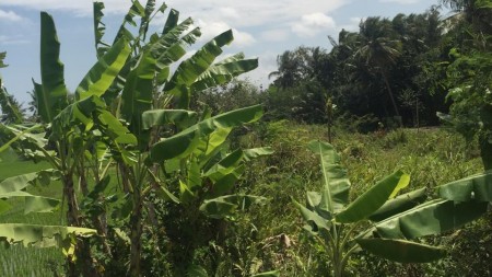 TANAH LOKASI BAGUS UNTUK DIJADIKAN PERUMAHAN/ CLUSTER.