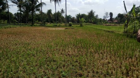 TANAH LOKASI STRATEGIS UNTUK PERUMAHAN