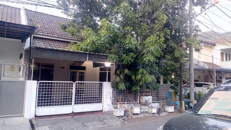 Sewa Rumah Nginden 4 kamar