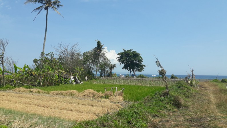 Beachfront 1,9 ha at Siyut Beach, 5 min to Safari Park