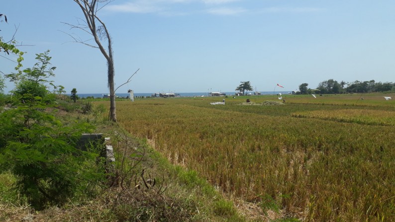 Beachfront 1,9 ha at Siyut Beach, 5 min to Safari Park