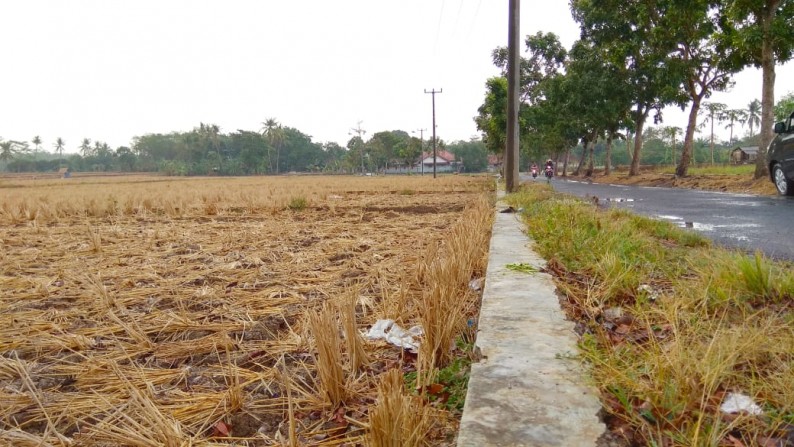 Tanah Kavling 2 HA di Subang dekat Pintu Toll