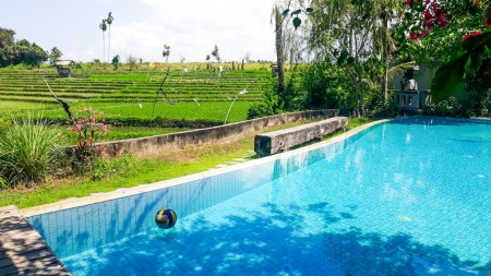 Fantastic Income!! Villa & Guest House with Rice Field View at Berawa