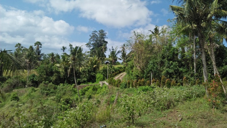 A Spacious 7280 Sq M Freehold Land with Beautiful Valley and River View For Sale just 30 Minutes from Ubud Center