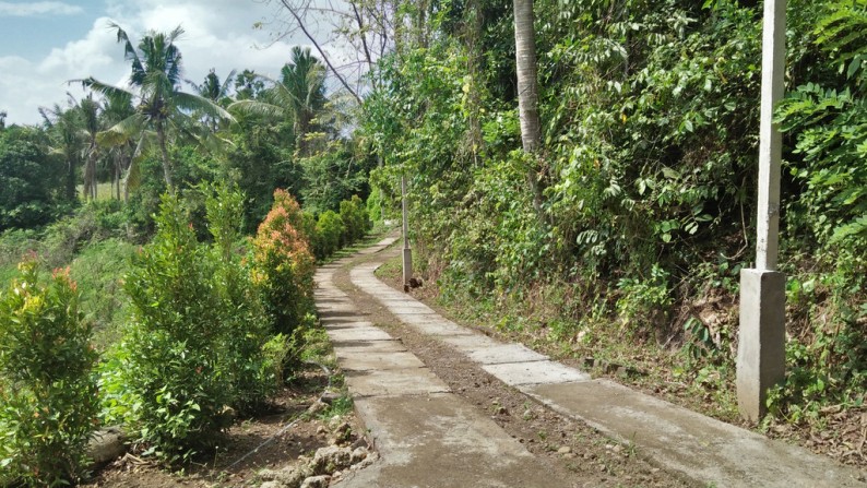 A Spacious 7280 Sq M Freehold Land with Beautiful Valley and River View For Sale just 30 Minutes from Ubud Center