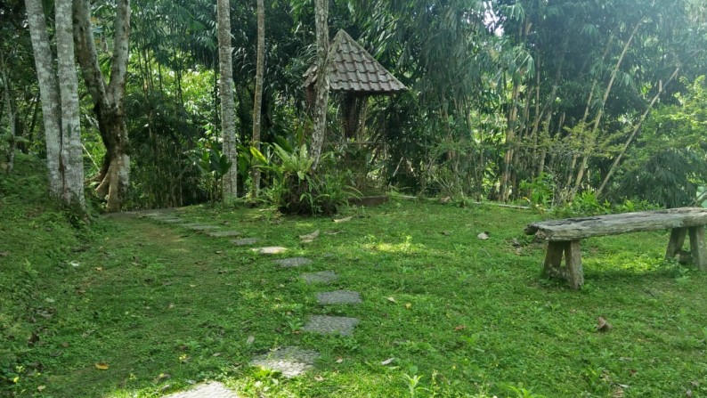 A Spacious 12,472 sq m of Freehold Villa with Beautiful Valley View For Sale Just 40 Minutes From Ubud Center